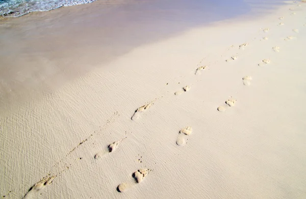 Footprints in beach — Stock Photo, Image