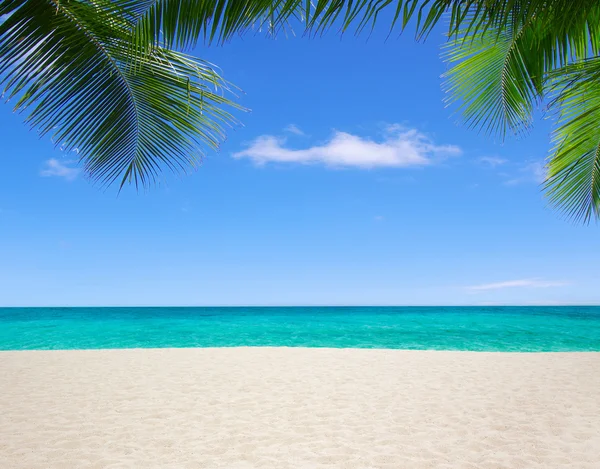 Praia e mar tropical — Fotografia de Stock