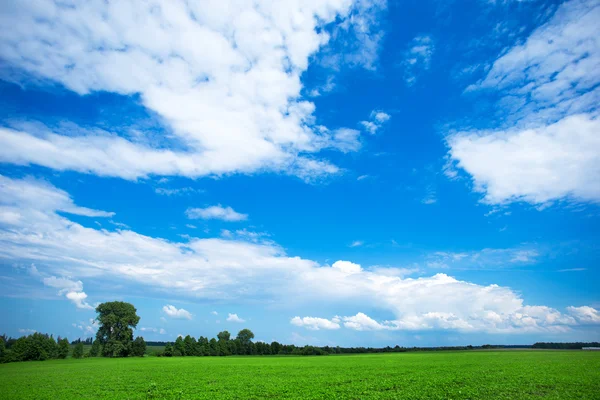 Campo verde e céu azul — Fotografia de Stock