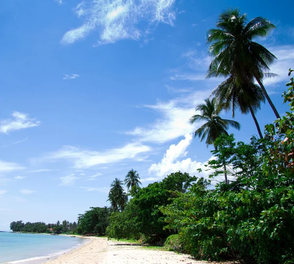 Cielo blu e spiaggia — Foto Stock