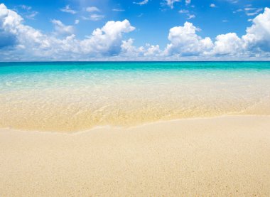 plaj ve tropikal deniz