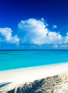 plaj ve tropikal deniz