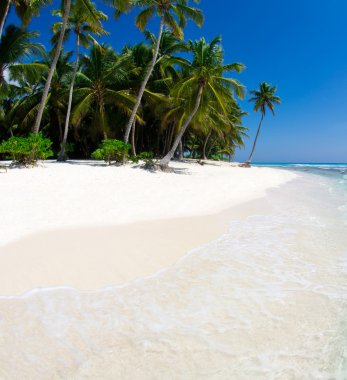 tropikal deniz ve mavi gökyüzü