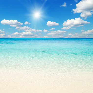 plaj ve tropikal deniz