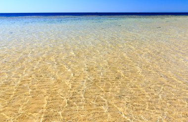 plaj ve tropikal deniz