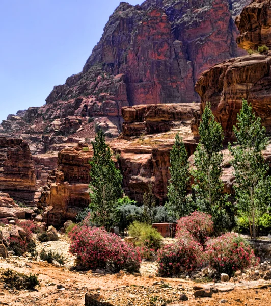 Rock formations in Petra Jordan — Stock Photo, Image