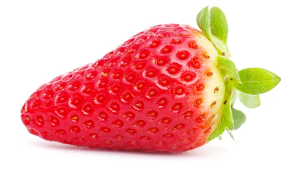 Frische, rote Erdbeere — Stockfoto