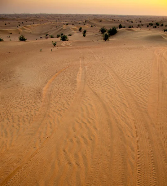 日没の砂漠の風景 — ストック写真