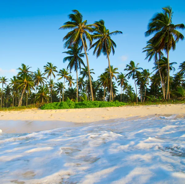 Tropical sea and blue sky — Stock Photo, Image