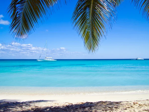 Praia e mar tropical — Fotografia de Stock