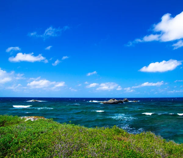 海滩和热带海 — 图库照片