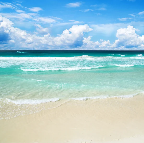 Spiaggia e mare tropicale — Foto Stock