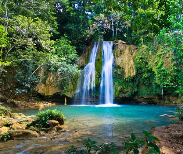 Waterfall in green forest — Stock Photo, Image