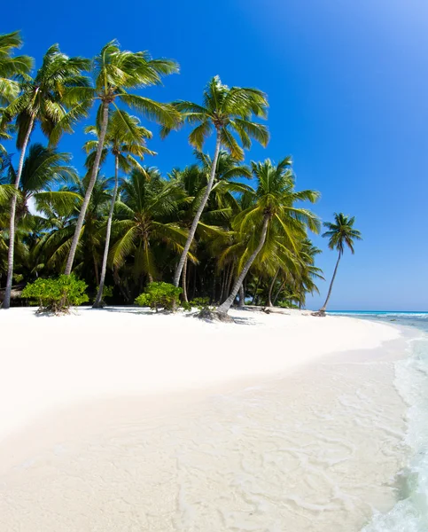 Playa y mar tropical — Foto de Stock