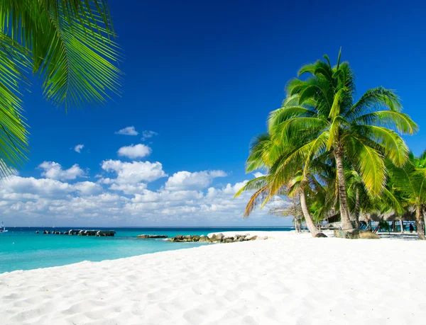 Mare tropicale sotto il cielo — Foto Stock