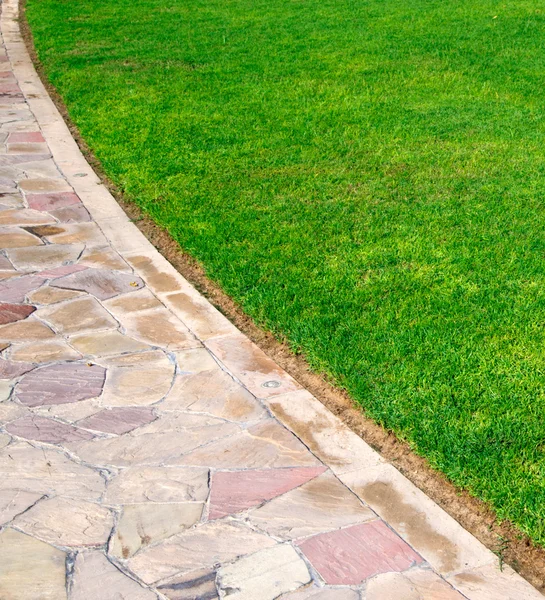 Vers voorjaarsgroen gras — Stockfoto