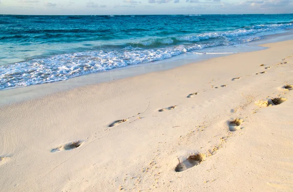 Beach and tropical sea — Stock Photo, Image