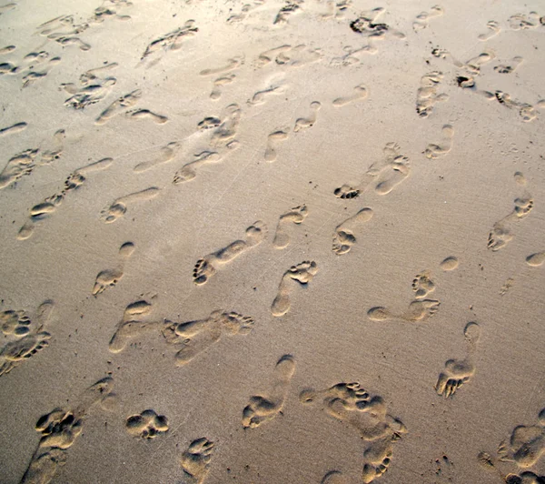 Coral sand  and footprints — Stock Photo, Image