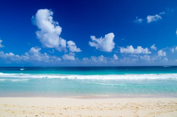 Playa y mar tropical — Foto de Stock