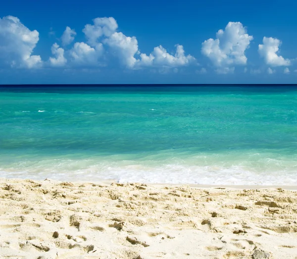 Spiaggia e mare tropicale — Foto Stock