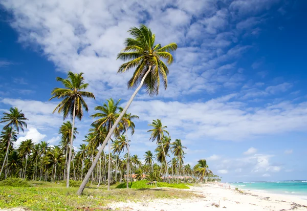 Beach and tropical sea — Stock Photo, Image