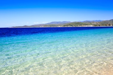 plaj ve tropikal deniz