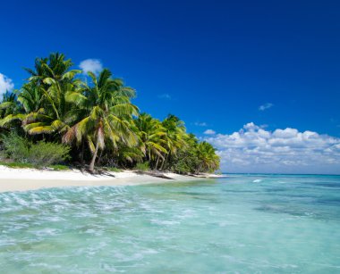 plaj ve tropikal deniz