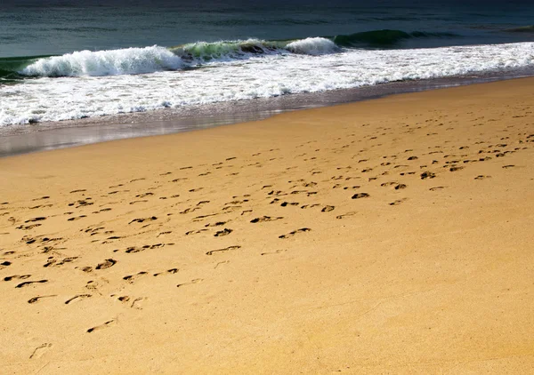 Beach and tropical sea — Stock Photo, Image