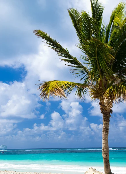 Beach and tropical sea — Stock Photo, Image