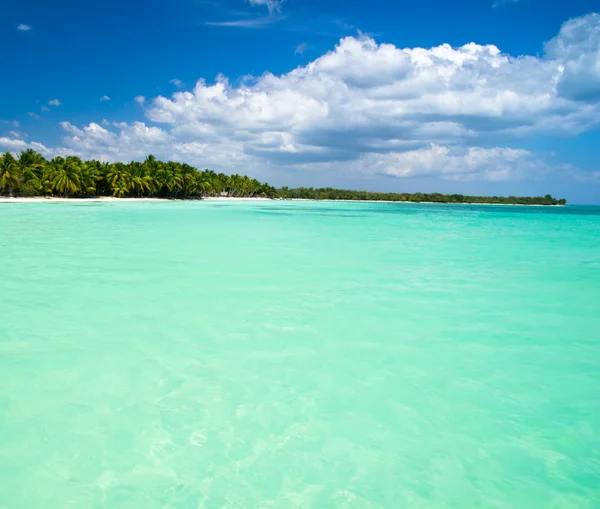 Playa y mar tropical — Foto de Stock