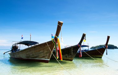 Tayland 'da tropik plaj