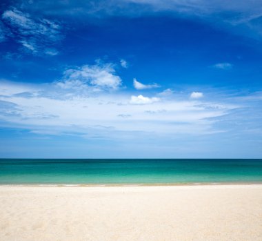 plaj ve tropikal deniz