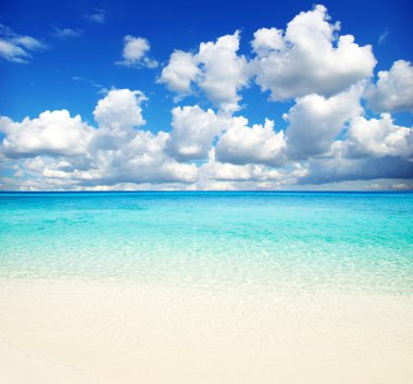 plaj ve tropikal deniz