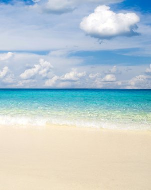 plaj ve tropikal deniz