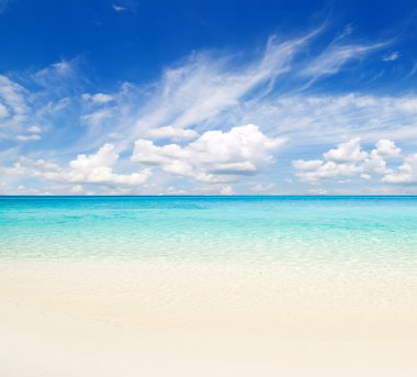 plaj ve tropikal deniz