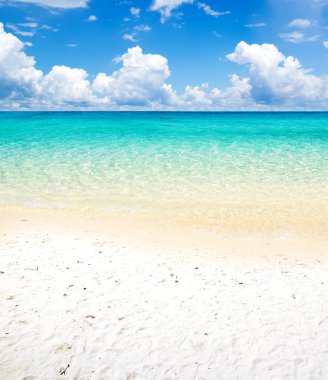 plaj ve tropikal deniz