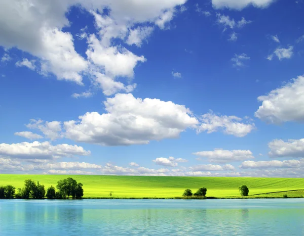 Veld en blauwe lucht — Stockfoto