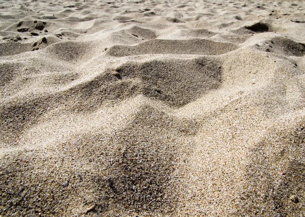 Schot van koraal zand — Stockfoto