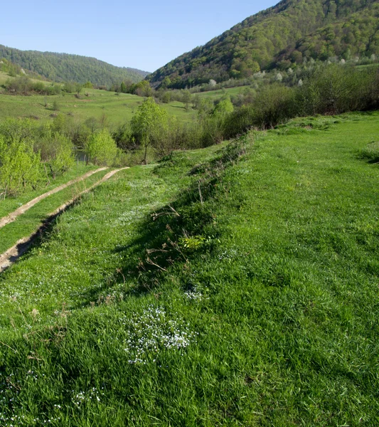 Yeşil manzara ve dağlar — Stok fotoğraf