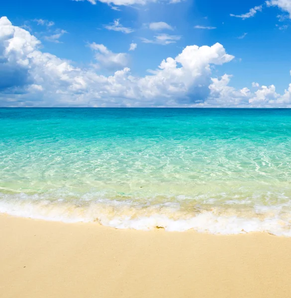 Spiaggia e mare tropicale — Foto Stock