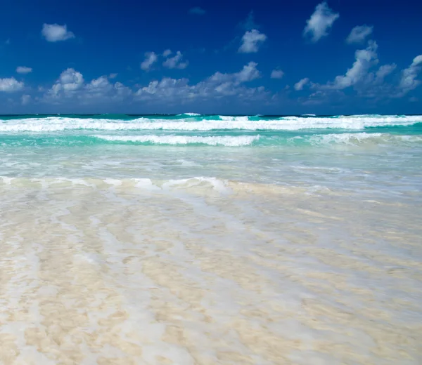 Plage tropicale des Caraïbes — Photo