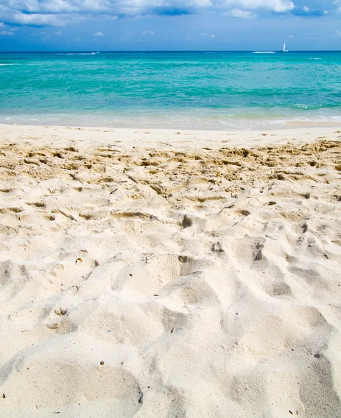 Playa y mar tropical — Foto de Stock