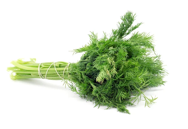 Massa färsk dill — Stockfoto