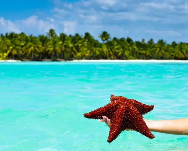 Starfish in hand in sea — Stock Photo, Image