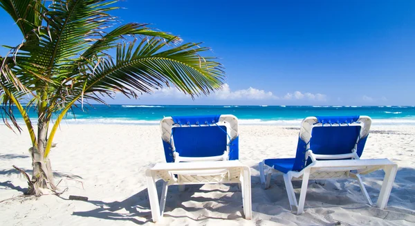 Sillas de playa bajo la palma — Foto de Stock