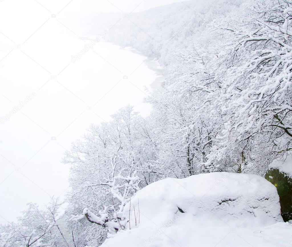 Winter landscape with trees