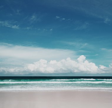 plaj ve tropikal deniz