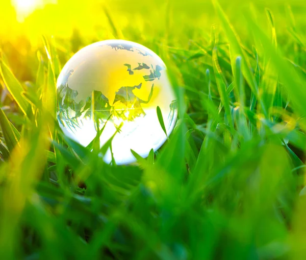 Globe dans l'herbe — Photo