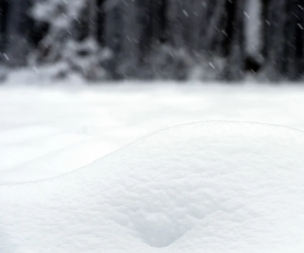 Winter background with snow — Stock Photo, Image