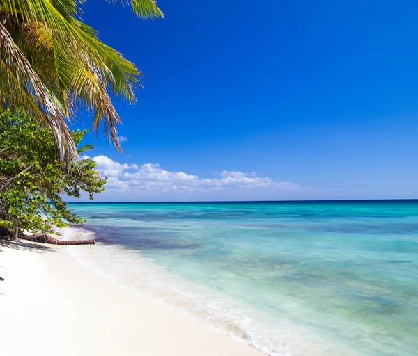 Praia e mar tropical — Fotografia de Stock